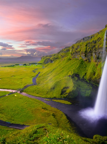 Volcanic Ash Scalp Detox